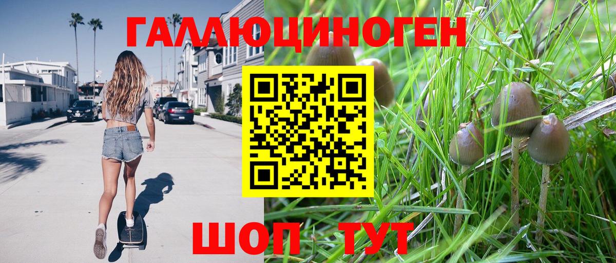 Галлюциногенные грибы MAGIC MUSHROOMS Елизово