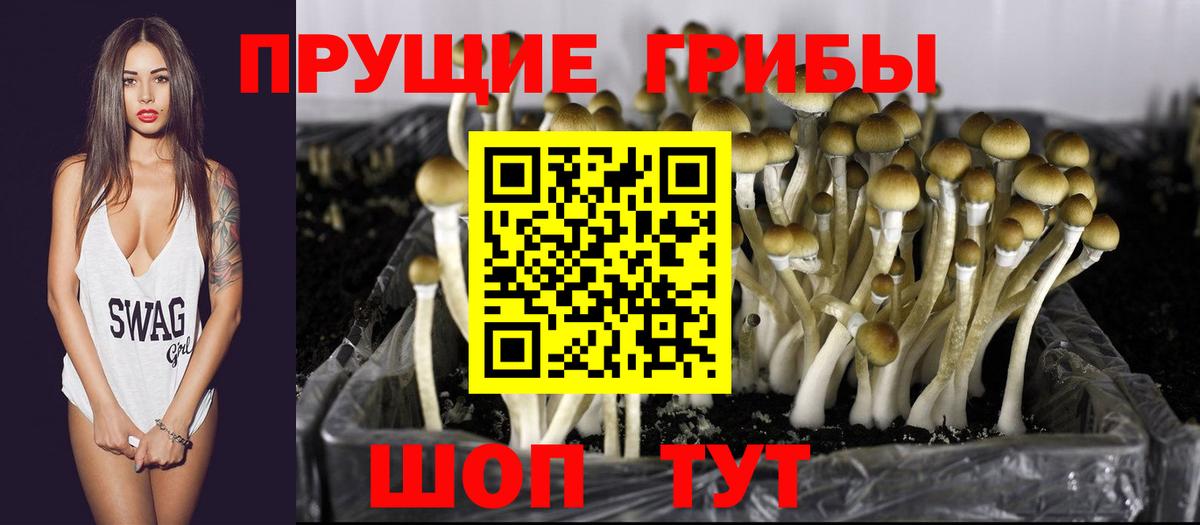 Псилоцибиновые грибы мухоморы  Псилоцибиновые грибы MAGIC MUSHROOMS  Вход с VPN  Елизово 